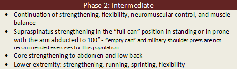 Shoulder intermediate phase rehab.png