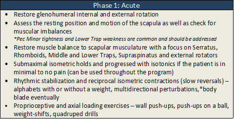 Shoulder acute phase rehab2.png